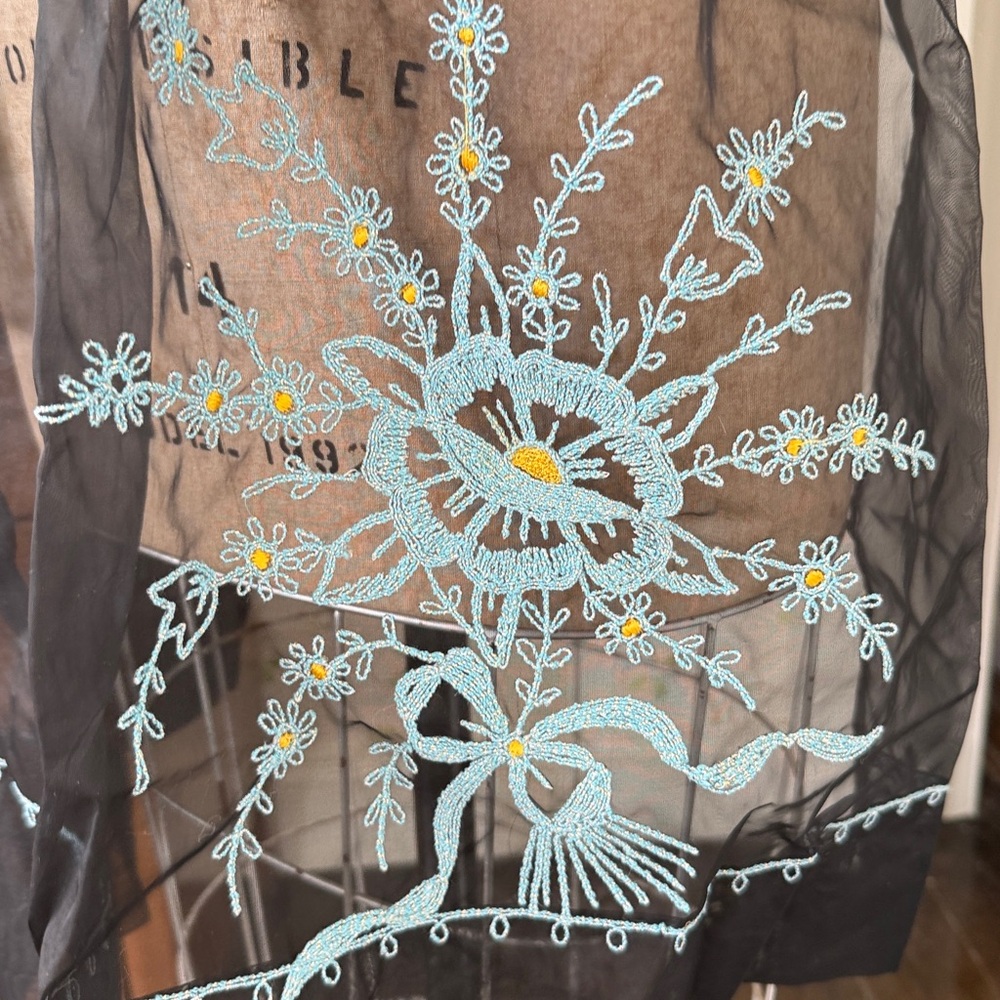 Vintage Sheer Black Embroidered Floral Apron - Picture 2 of 12